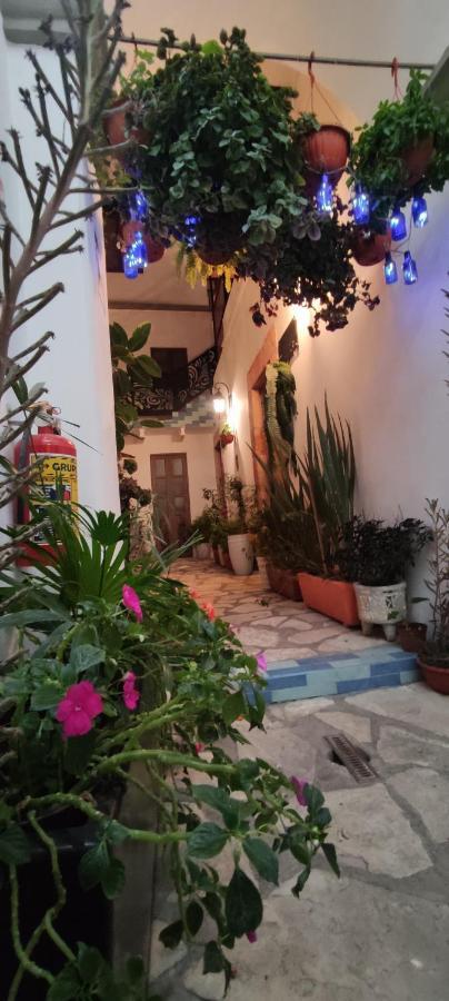 El Jardin De La Abuela Hotel เกเรตาโร ภายนอก รูปภาพ
