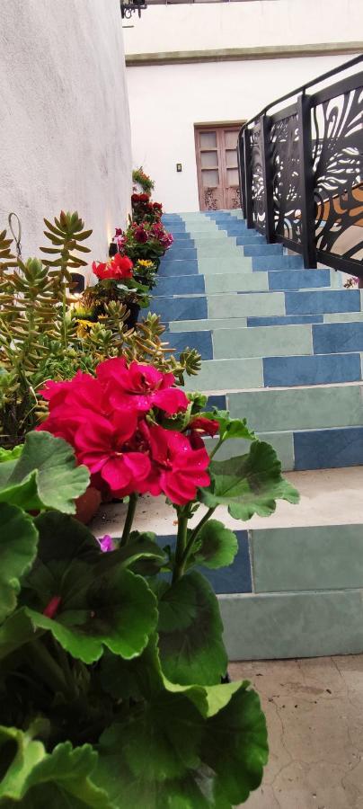 El Jardin De La Abuela Hotel เกเรตาโร ภายนอก รูปภาพ
