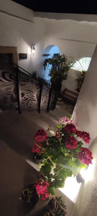 El Jardin De La Abuela Hotel เกเรตาโร ภายนอก รูปภาพ