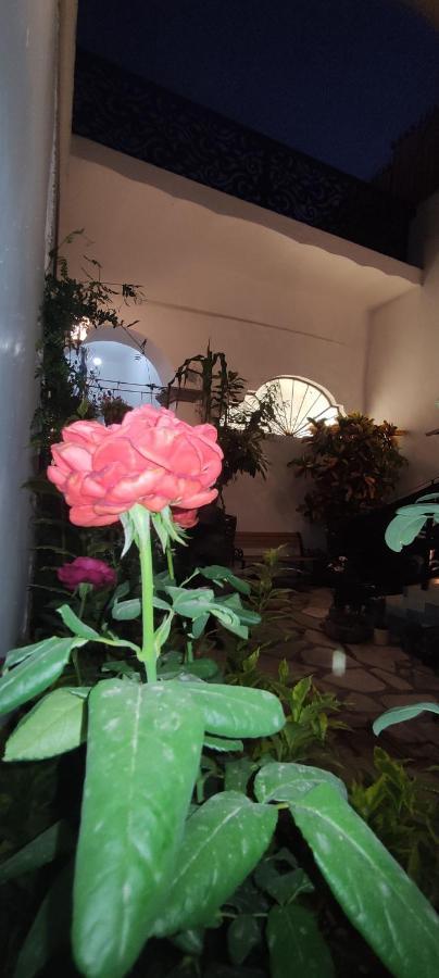 El Jardin De La Abuela Hotel เกเรตาโร ภายนอก รูปภาพ